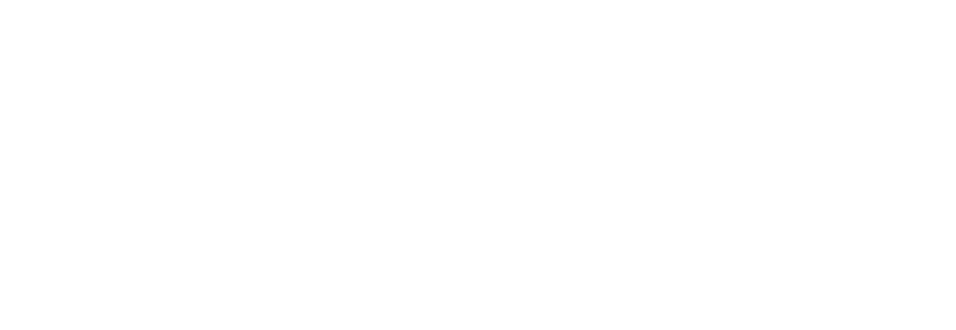PROFILE IN NUMBERS