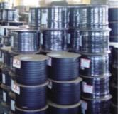 �ͥ�����/�쥹�ȥ�