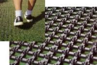 �����ѡ�������